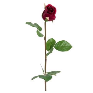 Rose 50 cm. Mørk rød